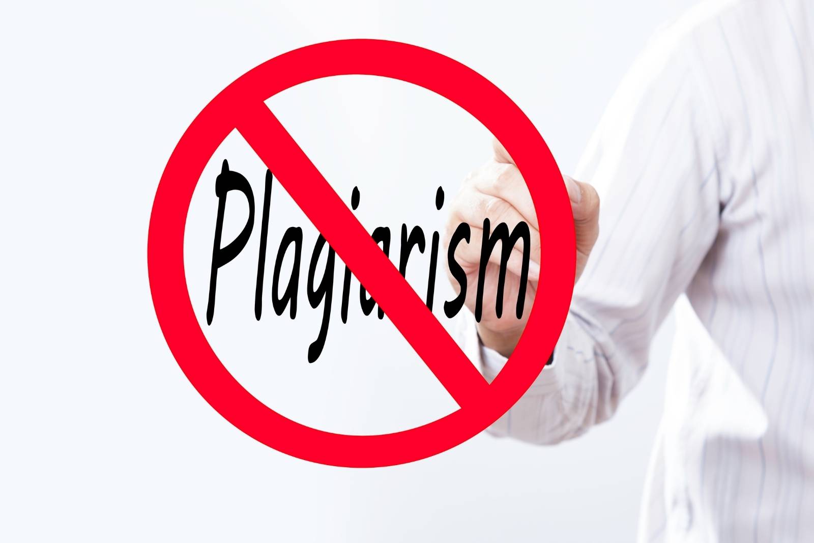 Plagiarism Removal/Turnitin Check